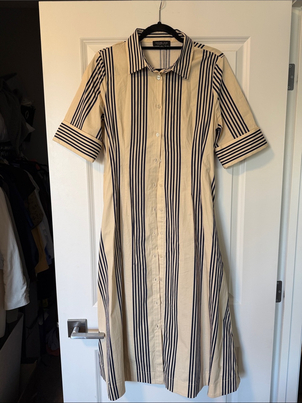 Striped Button Down Dress